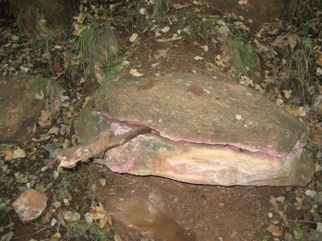 Scary_Rock_Lizard